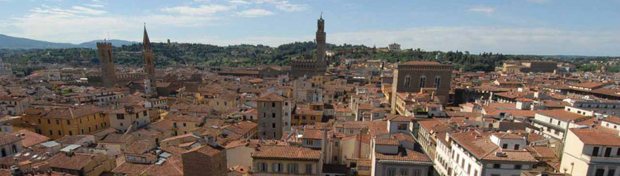I tetti della citt